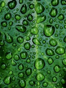 Exposición "Todo Cambia" de Mar Martín